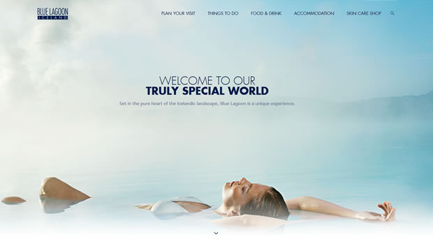 blue-lagoon-website-design